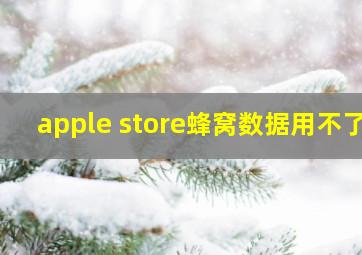 apple store蜂窝数据用不了